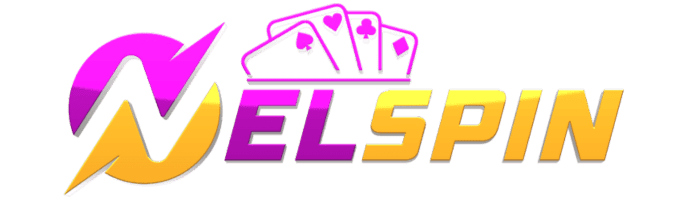 NelSpin Logo